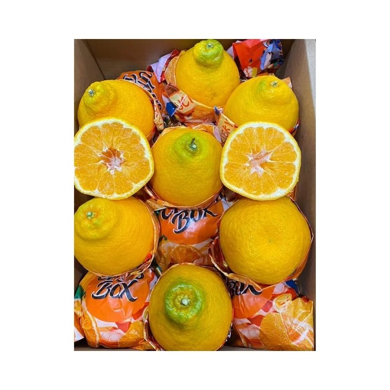 Satsuma Orange Per Box - Bangkok FreshLink