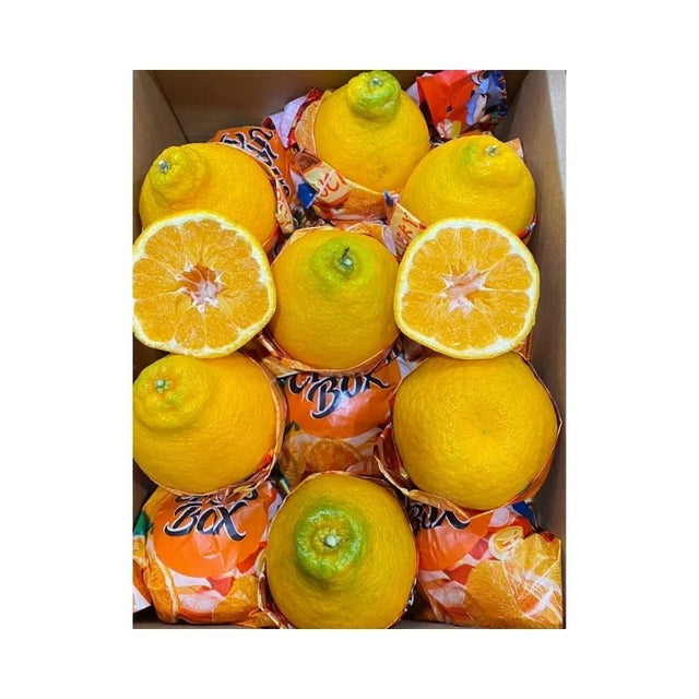 Satsuma Orange Per Box - Bangkok FreshLink
