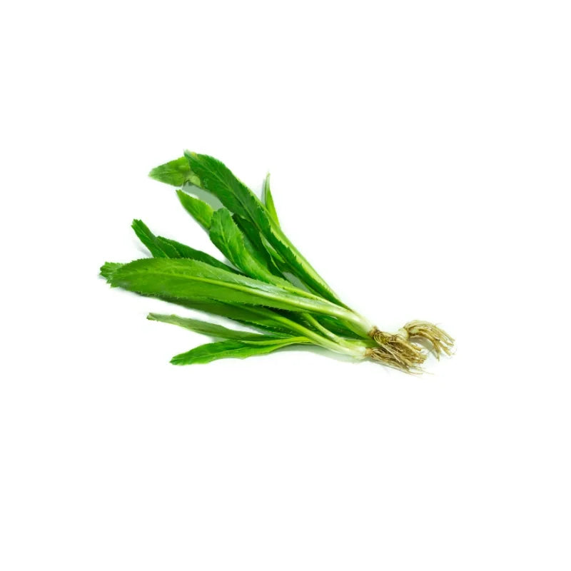 Sawtooth Coriander 250g