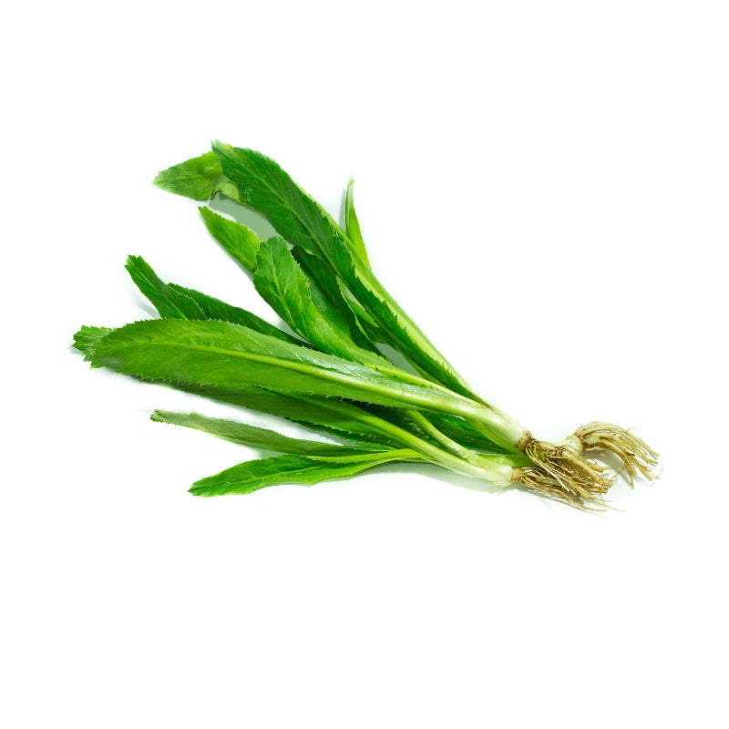 Sawtooth Coriander Per kg