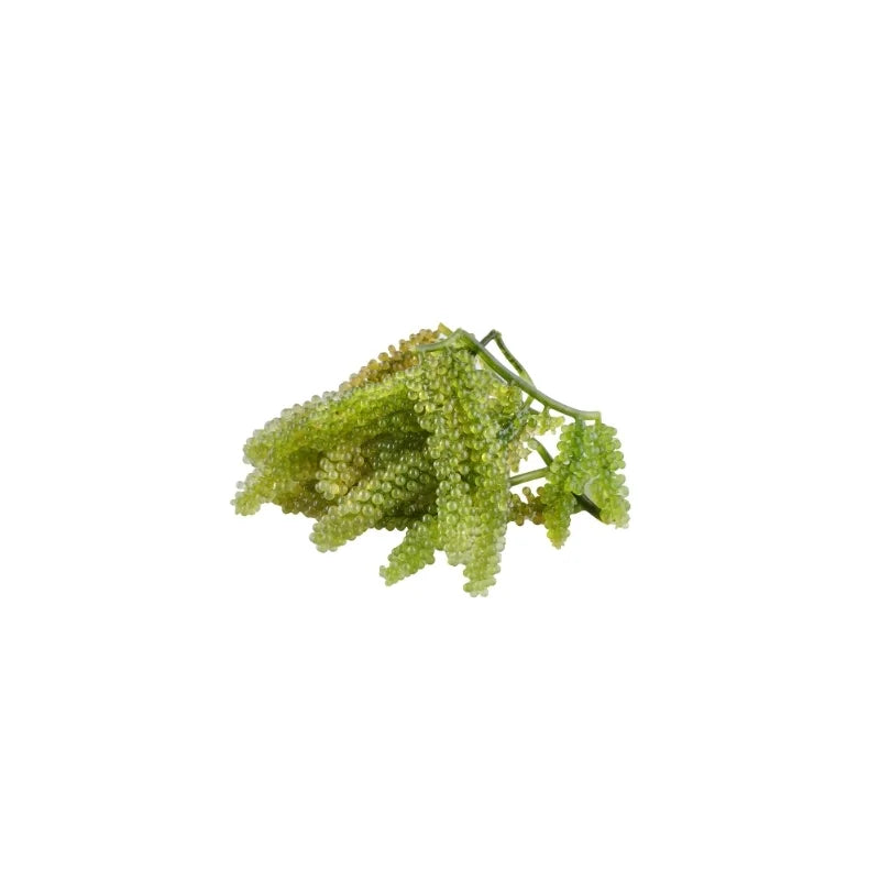 Sea Grapes 100 gram