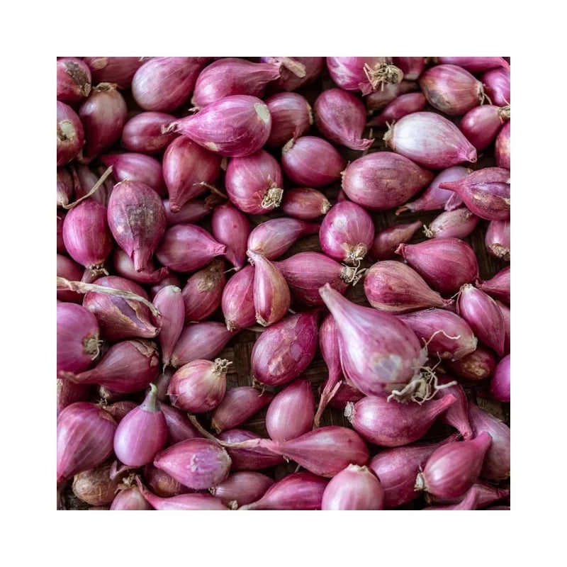 Shallots (Medium) 500g