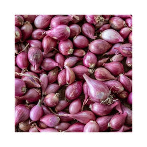 Fresh medium shallots, aromatic purple shallots, 500g pack isolated on white background