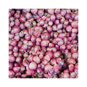 Fresh small shallots, aromatic purple shallots, 500g pack isolated on white background