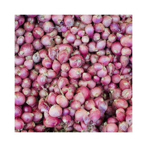Fresh small shallots, aromatic purple shallots sold per kg isolated on white background