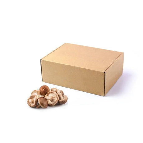 Shiitake Mushroom (Large) 5kg - Bangkok FreshLink