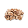 Shiitake Mushroom (Large) Per kg - Bangkok FreshLink