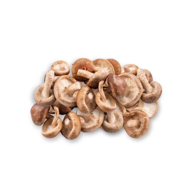 Shiitake Mushroom (Large) Per kg - Bangkok FreshLink