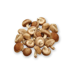 Fresh medium shiitake mushrooms, firm aromatic caps sold per kg isolated on white background