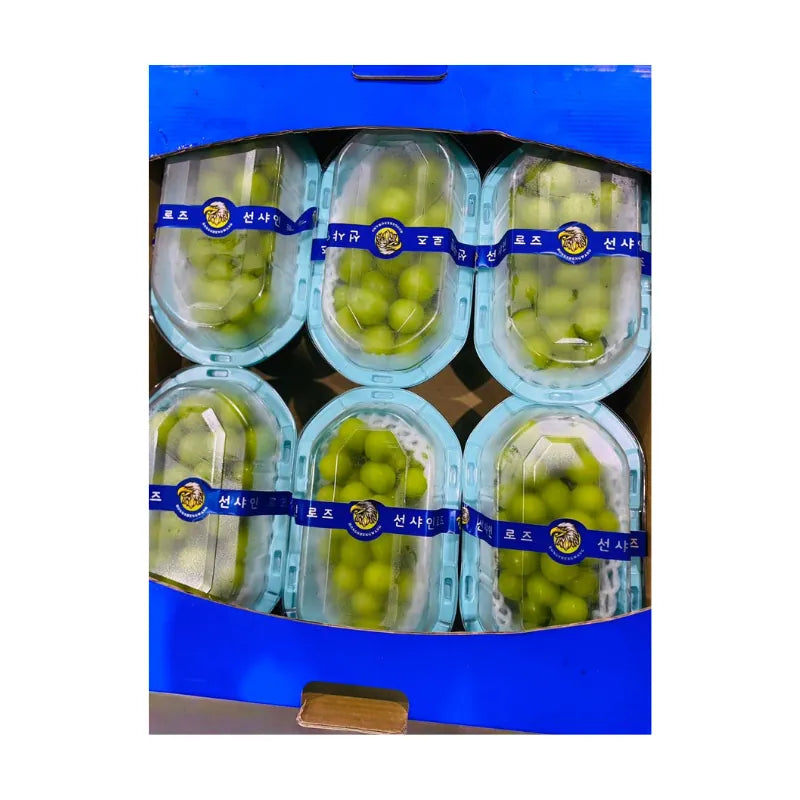 Shine Muscat Grapes Blue Tray Green Box 3 Boxes/Tray (Total Weight Including Tray 4kg)