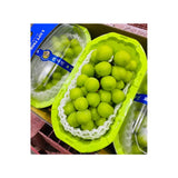 Shine Muscat Grapes Blue Tray Green Box 3 Boxes/Tray (Total Weight Including Tray 4kg)