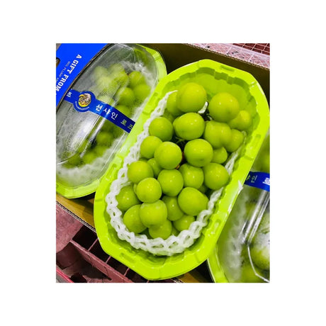 Shine Muscat Grapes Blue Tray Green Box 3 Boxes/Tray (Total Weight Including Tray 4kg)
