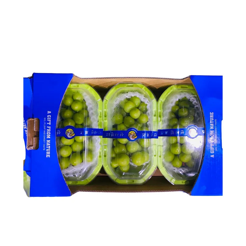 Shine Muscat Grapes Blue Tray Green Box 3 Boxes/Tray (Total Weight Including Tray 4kg)