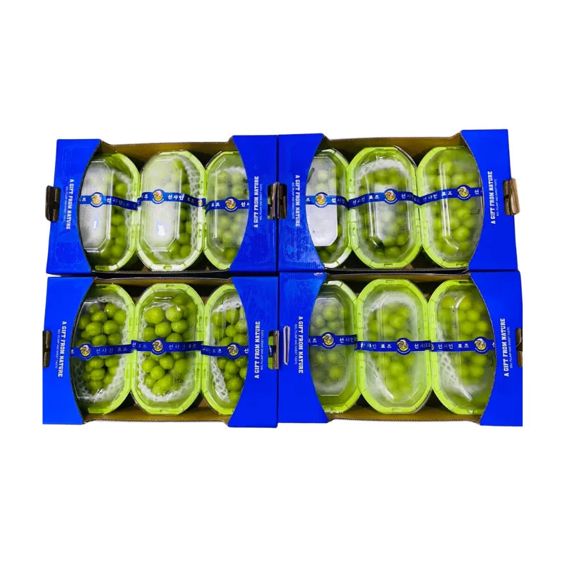 Shine Muscat Grapes Blue Tray Green Box 3 Boxes/Tray (Total Weight Including Tray 4kg)