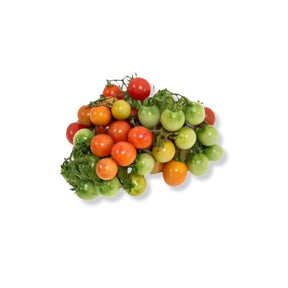 Fresh Som Yor tomatoes on a white background