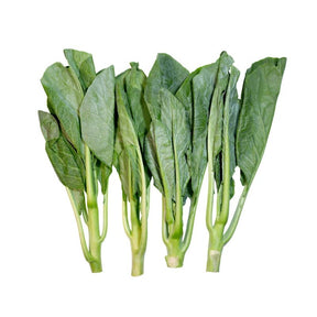 Fresh spinach leaves on a white background