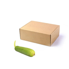 Fresh sponge gourd, smooth green loofah gourd, 5kg bulk pack isolated on white background