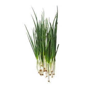 Fresh spring onions, whole bunches, 500g pack isolated on white background