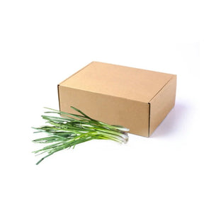 Fresh spring onions, green stalks with white bulbs, 5kg bulk pack isolated on white background