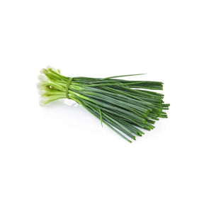 Fresh spring onions, green stalks with white bulbs sold per kg isolated on white background