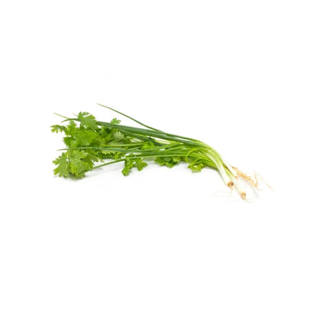 A photo of Spring Onion + Coriander Per kg on a white background