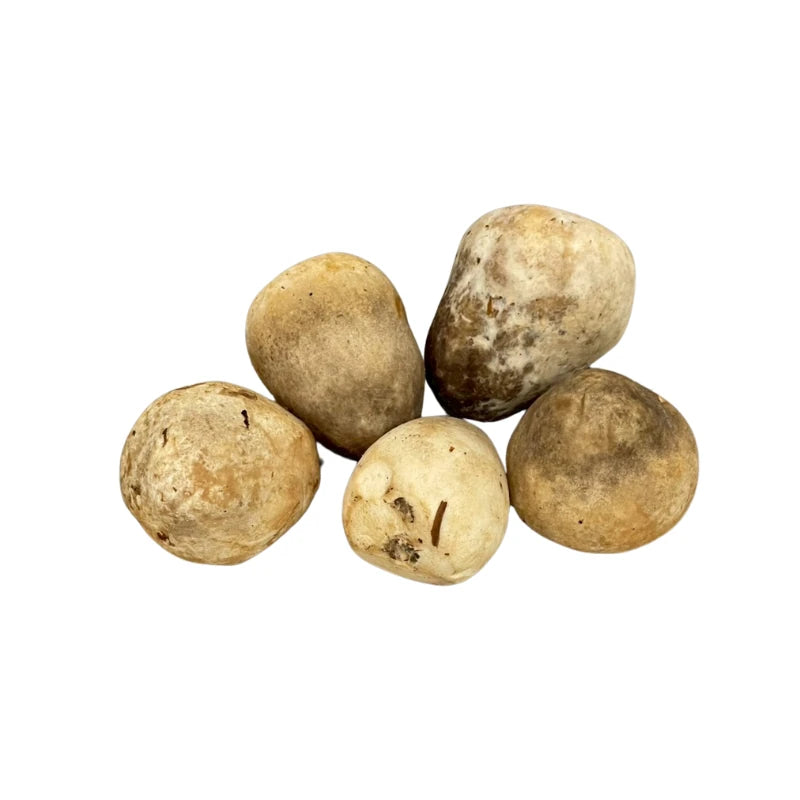 Straw Mushrooms Large Size Per kg