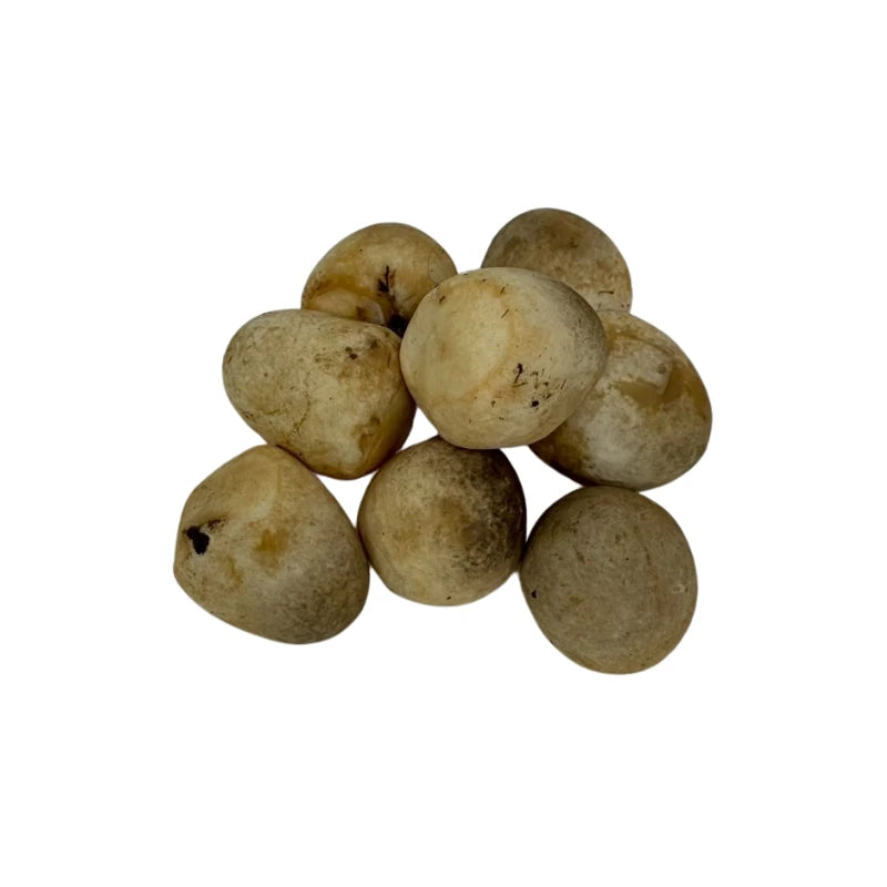 Straw Mushroom Small per kg