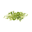 Sunflower Sprouts 250g - Bangkok FreshLink