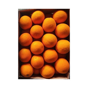 Fresh Sunkist oranges, premium sweet oranges packed per box isolated on white background
