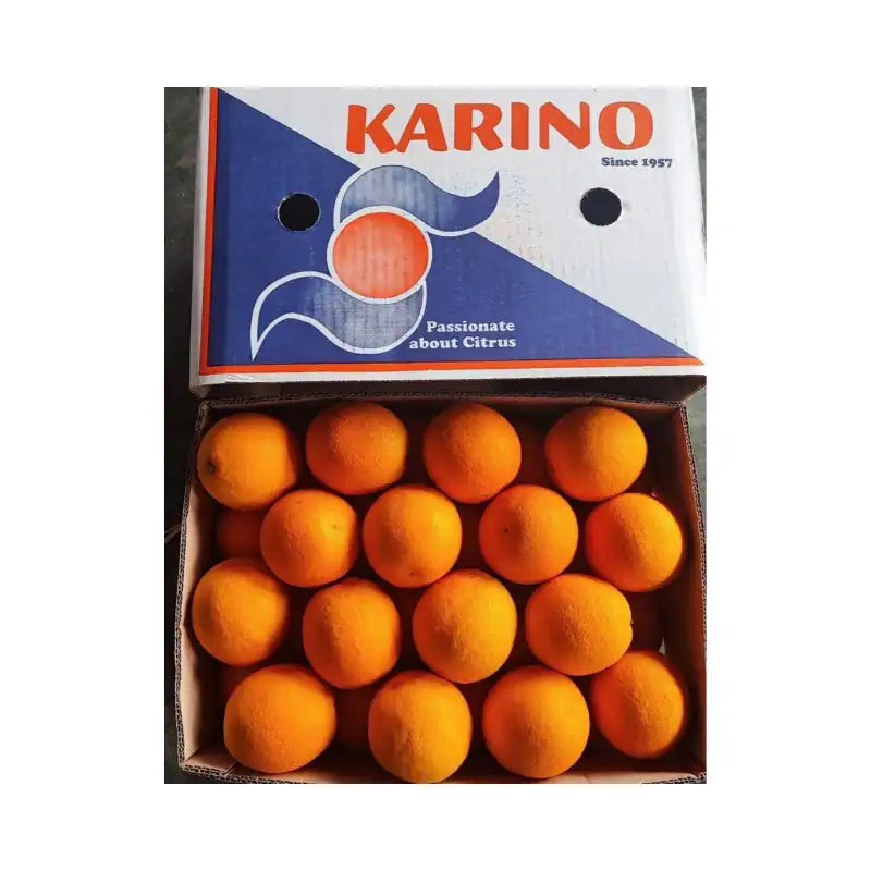 ส้มซันคิส ตรา Karino เบอร์ 72
