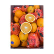 Sunkist Orange Per kg - Bangkok FreshLink