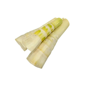Peeled sweet bamboo shoots on a white background