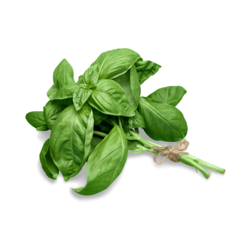 Sweet Basil Leaves Per kg
