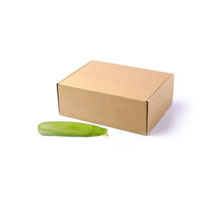 Fresh sweet corn with husk, whole corn ears, 10kg bulk pack isolated on white background