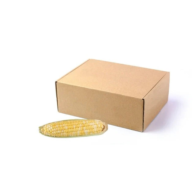 Fresh half-peeled sweet corn, partially husked corn, 5kg bulk pack isolated on white background