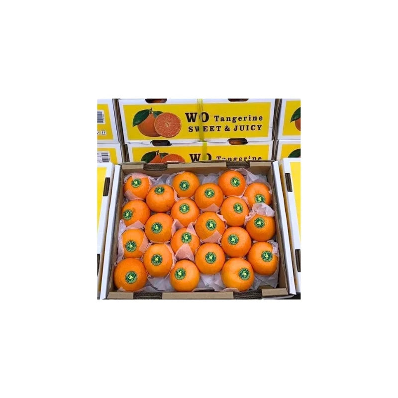 Taiwan Orange Parrot Brand Size L 6.5-7kg Per Box