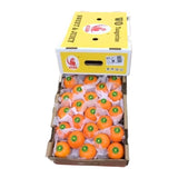 ส้มไต้หวันแบรนด์นกแก้ว ไซส์M 6.5-7กก./กล่อง 