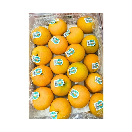 Taiwan Orange 2kg - Bangkok FreshLink