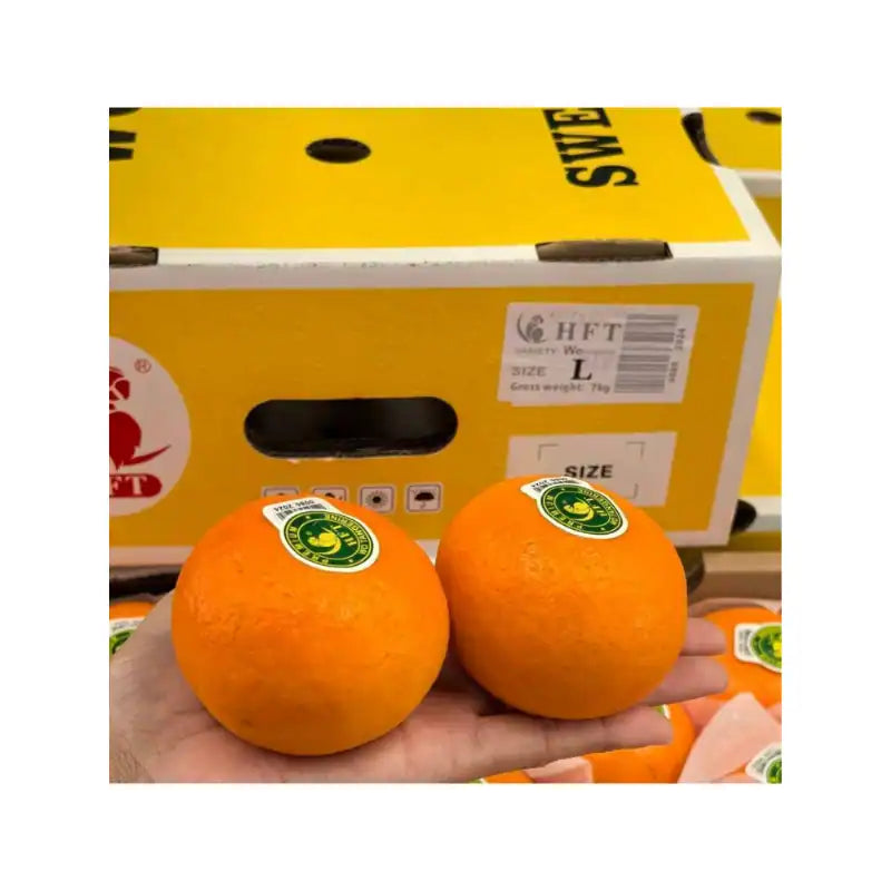 ส้มไต้หวัน ตรานกแก้ว ไซส์ XL