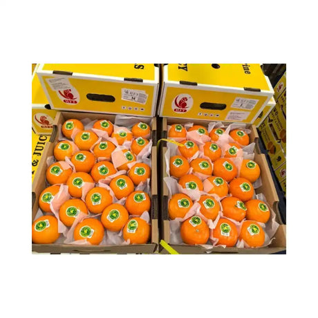 Taiwan Orange Parrot Brand Size XL 7kg/Box