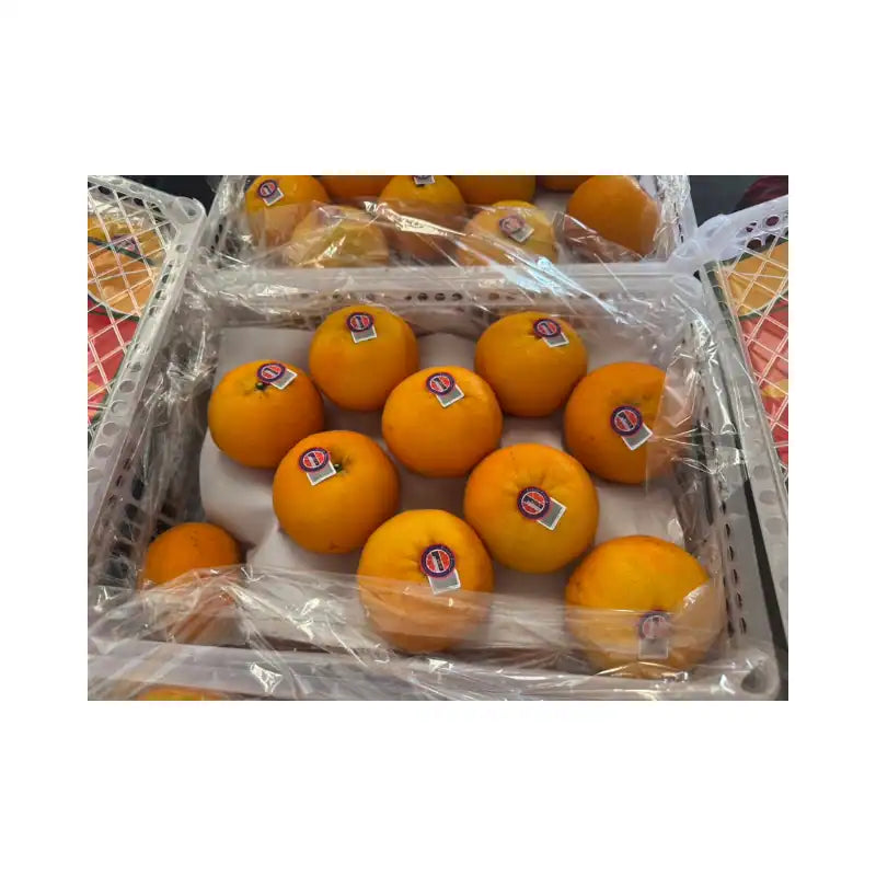 Taiwan Orange 5168 Size 80