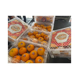 Taiwan Orange 5168 Size 80