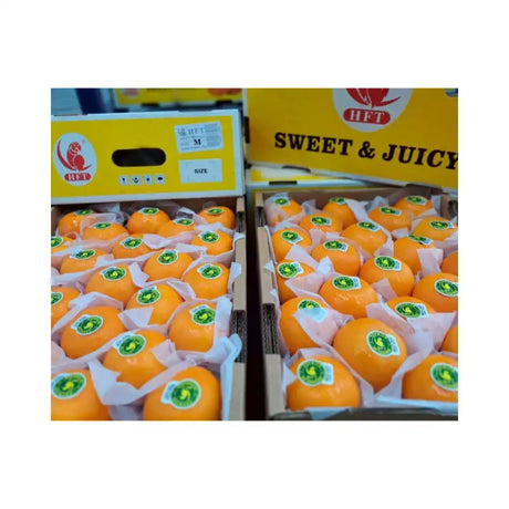Taiwan Oranges Parrot Brand Size M