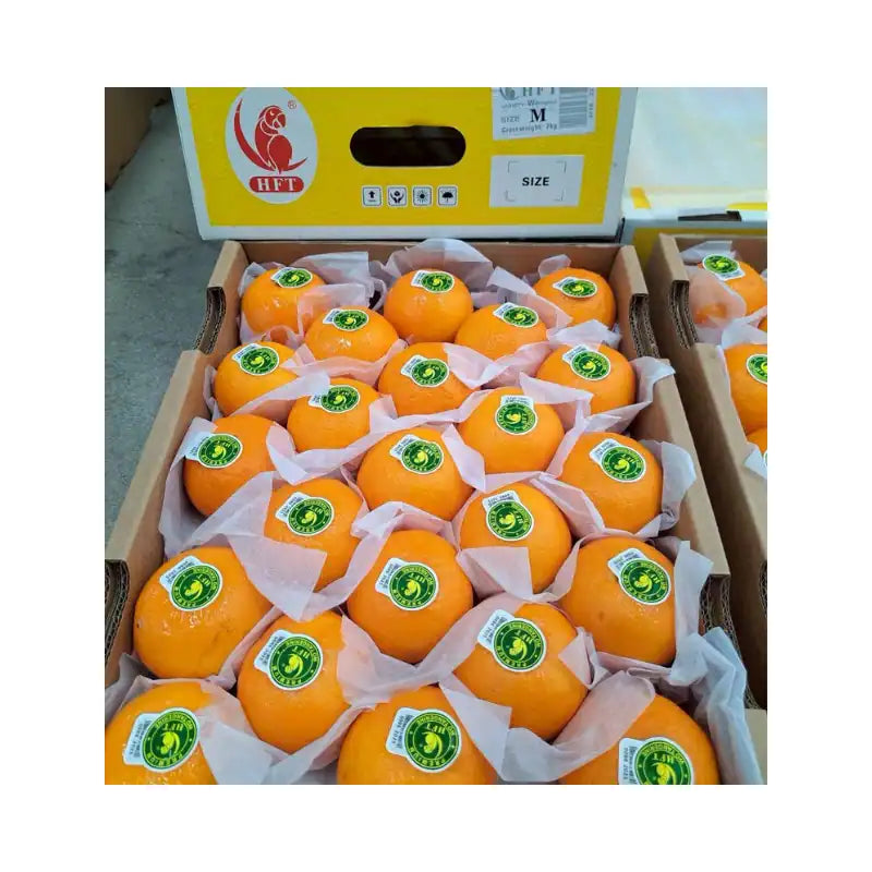 ส้มไต้หวัน ตรานกแก้ว ไซส์ M