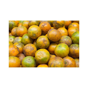 Tangerines on a white background