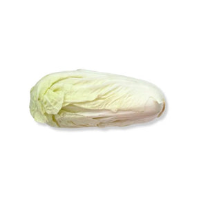 Thai cabbage on a white background