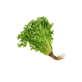 Thai coriander on a white background