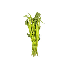 Fresh Thai morning glory large size, long hollow green stems, 250g pack isolated on white background
