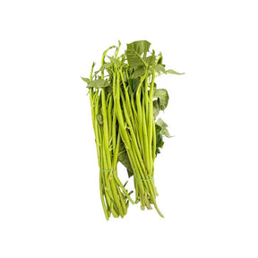 Fresh Thai morning glory large size, long hollow green stems, 500g pack isolated on white background