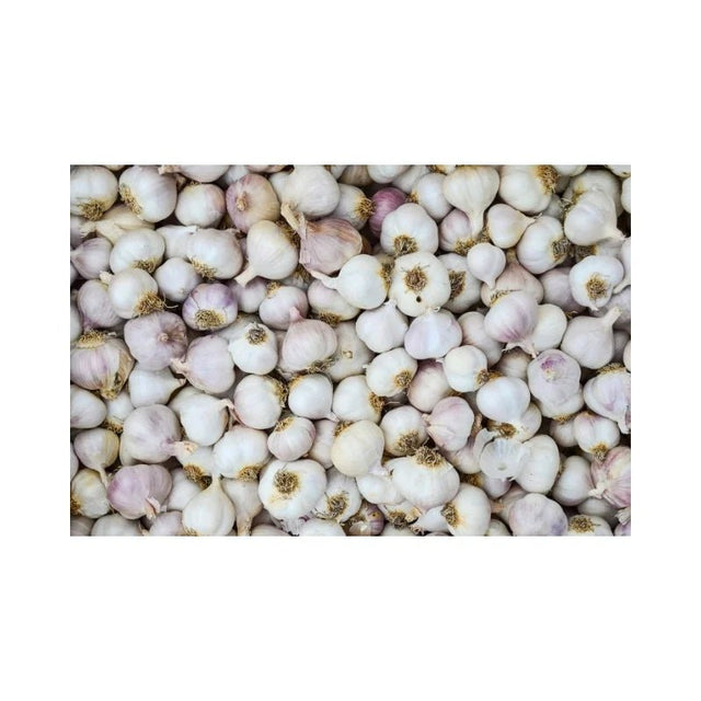 Thai Garlic (Whole Bulbs, Large) 10kg - Bangkok FreshLink